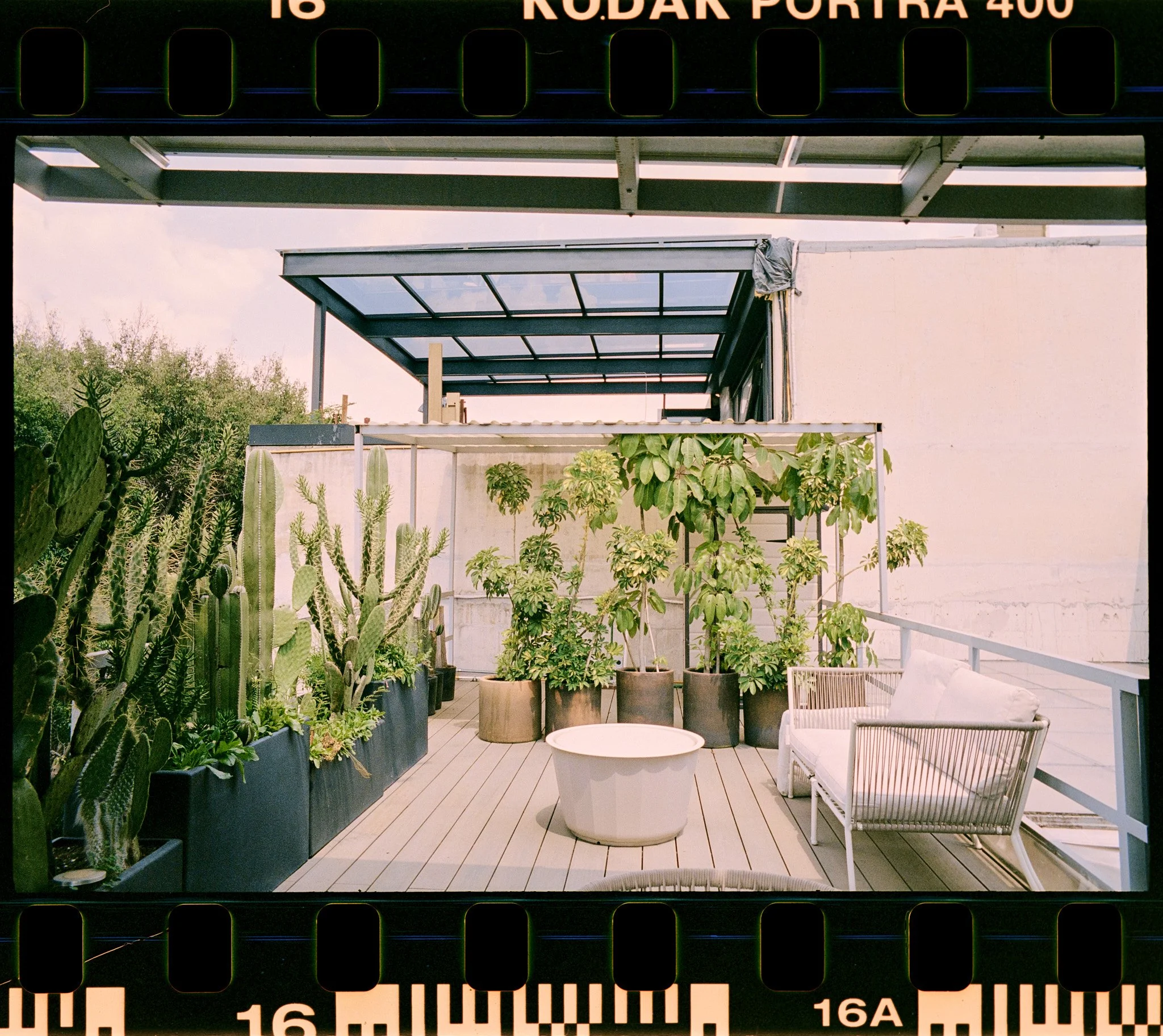 A rooftop patio with various green potted plants, including cacti and leafy plants, and white outdoor chairs and a table under a glass roof extension. There's a white wall in the background and some trees visible.