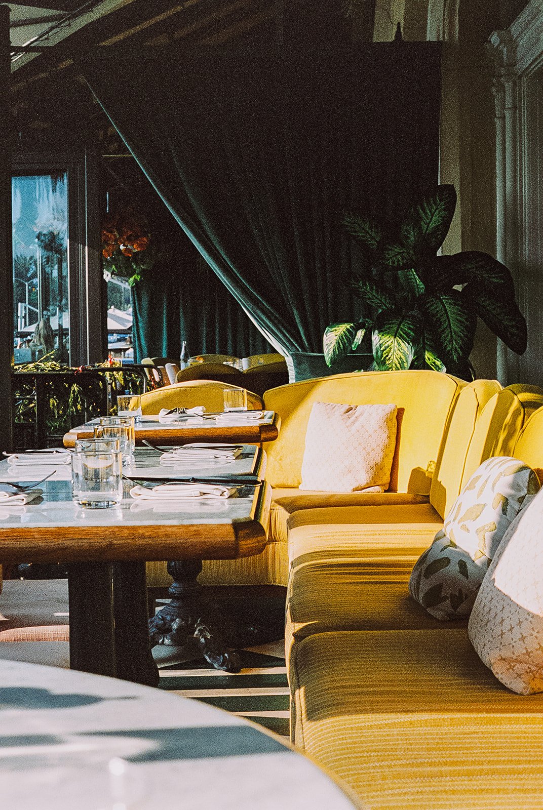 Interior of a restaurant with yellow upholstered seating, pillows, a wooden table set with glasses and napkins, and large plants near dark curtains.