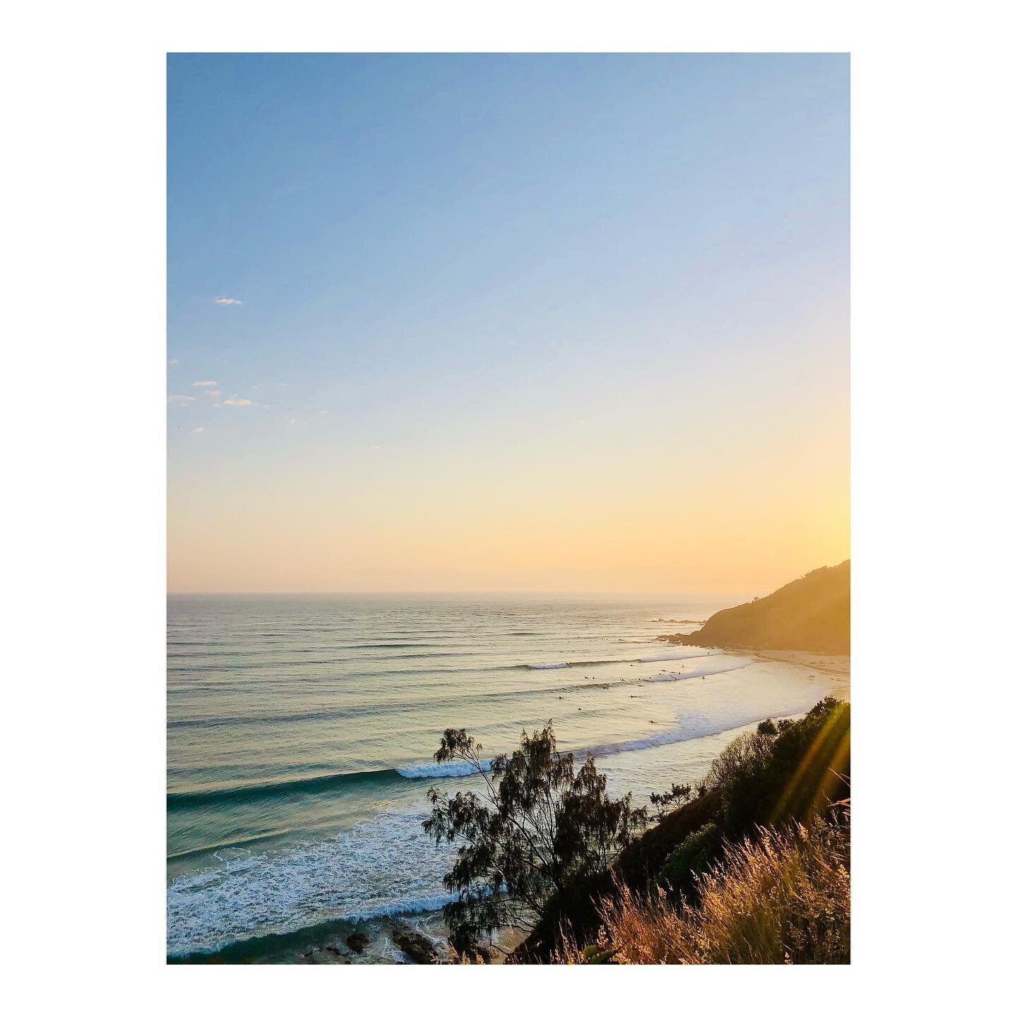 The golds and blues were out this morning&hellip;#byronbay