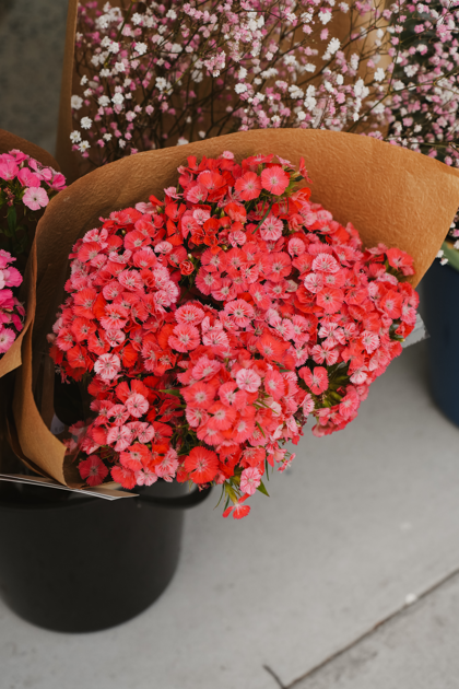 Screenshot 2026-02-10 134416.png