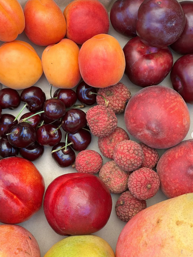 Screenshot 2026-02-11 135946.png