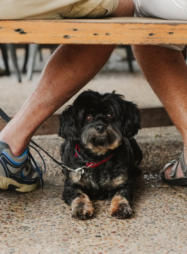 Screenshot 2026-02-11 140946.png