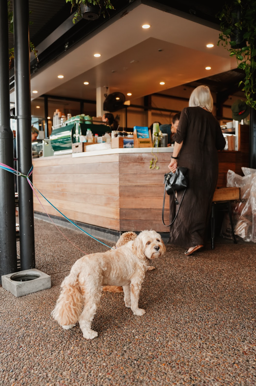 Screenshot 2026-04-07 at 2.36.23 PM.png