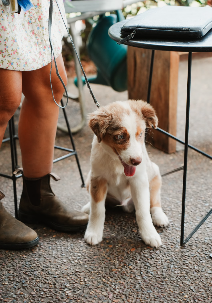 Screenshot 2026-04-07 at 2.35.22 PM.png