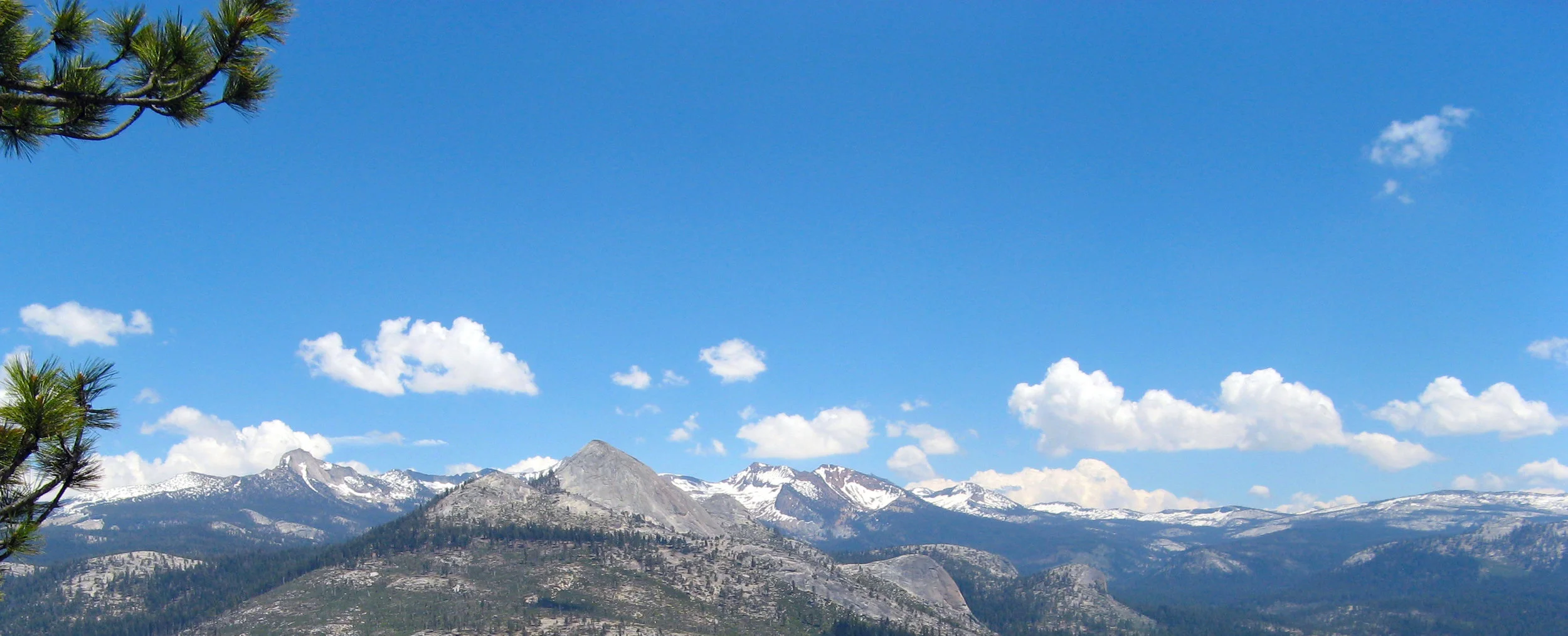 IMG_6250_new header_02.jpg