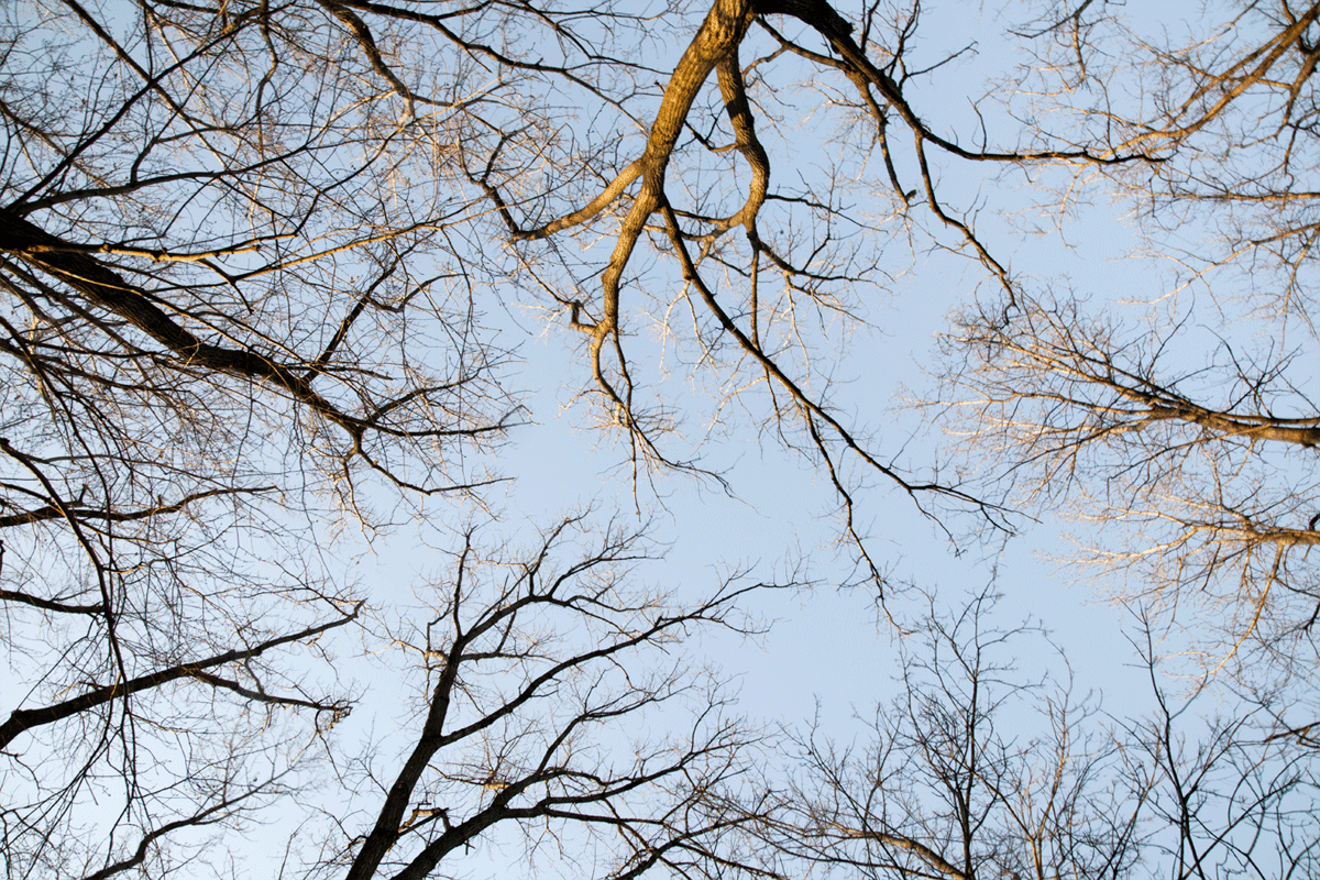 tumblr_lydqvm2gSj1r8oh43o1_1280.gif