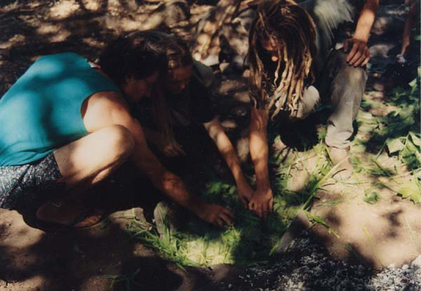 Lining the pit with wet and/or damp vegetation