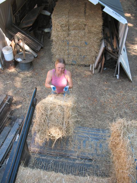 Straw Bales