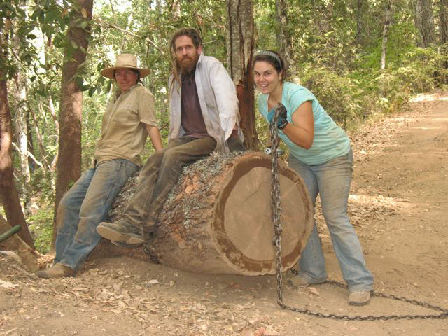 Moving Large Logs