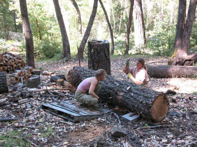 Choking Logs