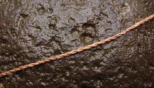 iris-string.png