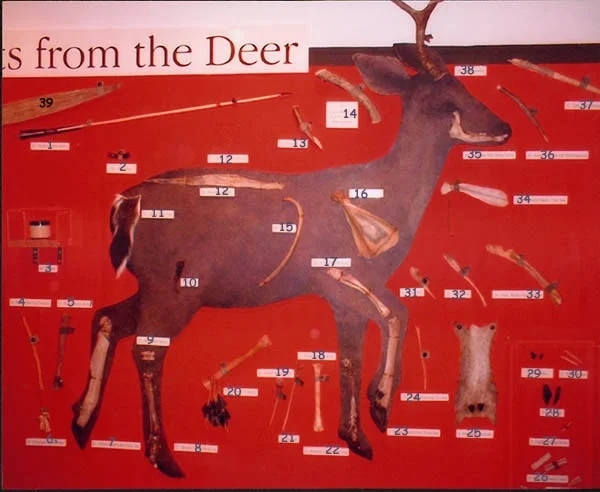Gifts from the Deer Exhibit