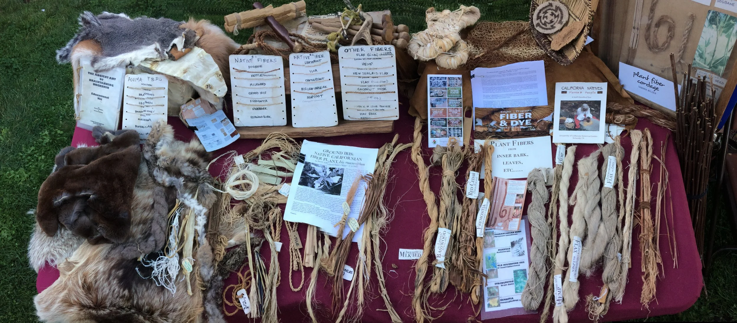 fiber-table-display.jpg