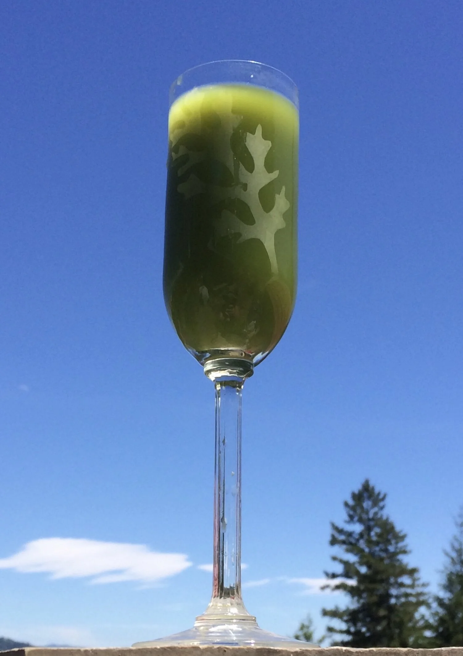 Delicious & Refreshing Thistle Juice