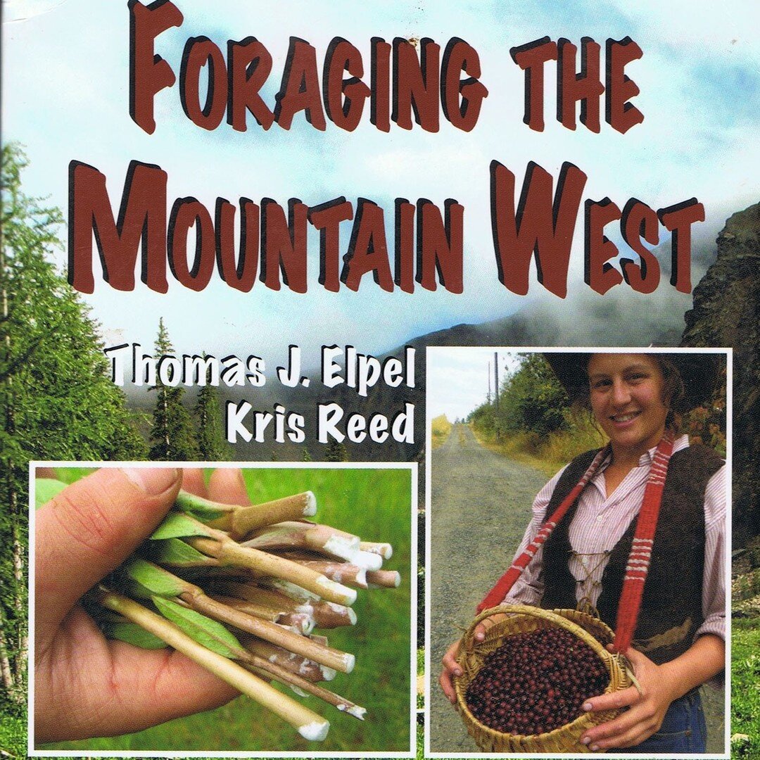 Ever checked out Tom Elpel &amp; Kris Reed's book &quot;Foraging the Mountain West&quot;? It's a wonderful treatise on gathering plants in the wild that is also very easy to digest and understand.