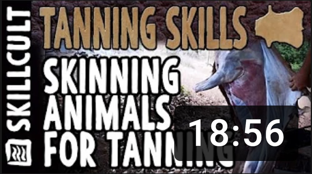 Deer &amp; Goat Skinning