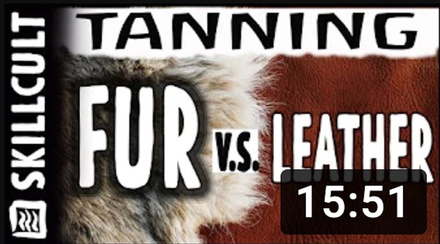 Fur vs Leather Q&amp;A