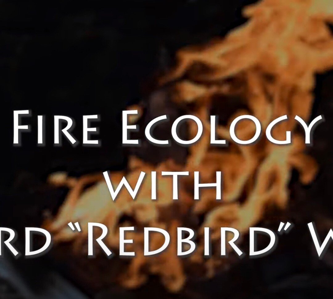 Watch this incredibly well done video featuring dear friend Redbird discussing the use of fire to manage our California lands.
@nativecultures on YouTube
#fireecology 
#usingfire 
#landmanagementwithfire