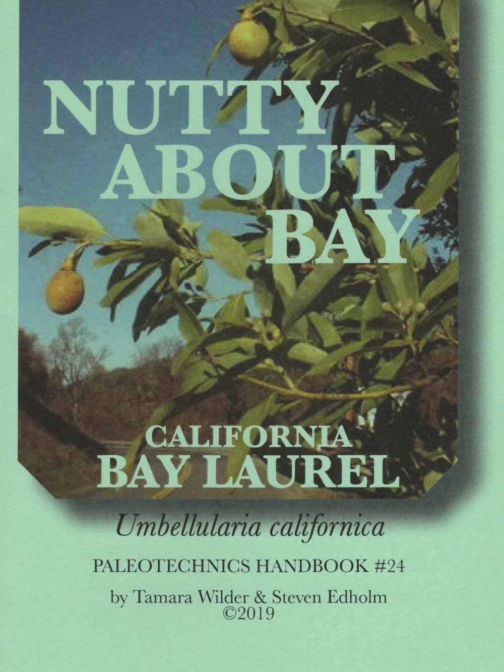 Nutty About Bay