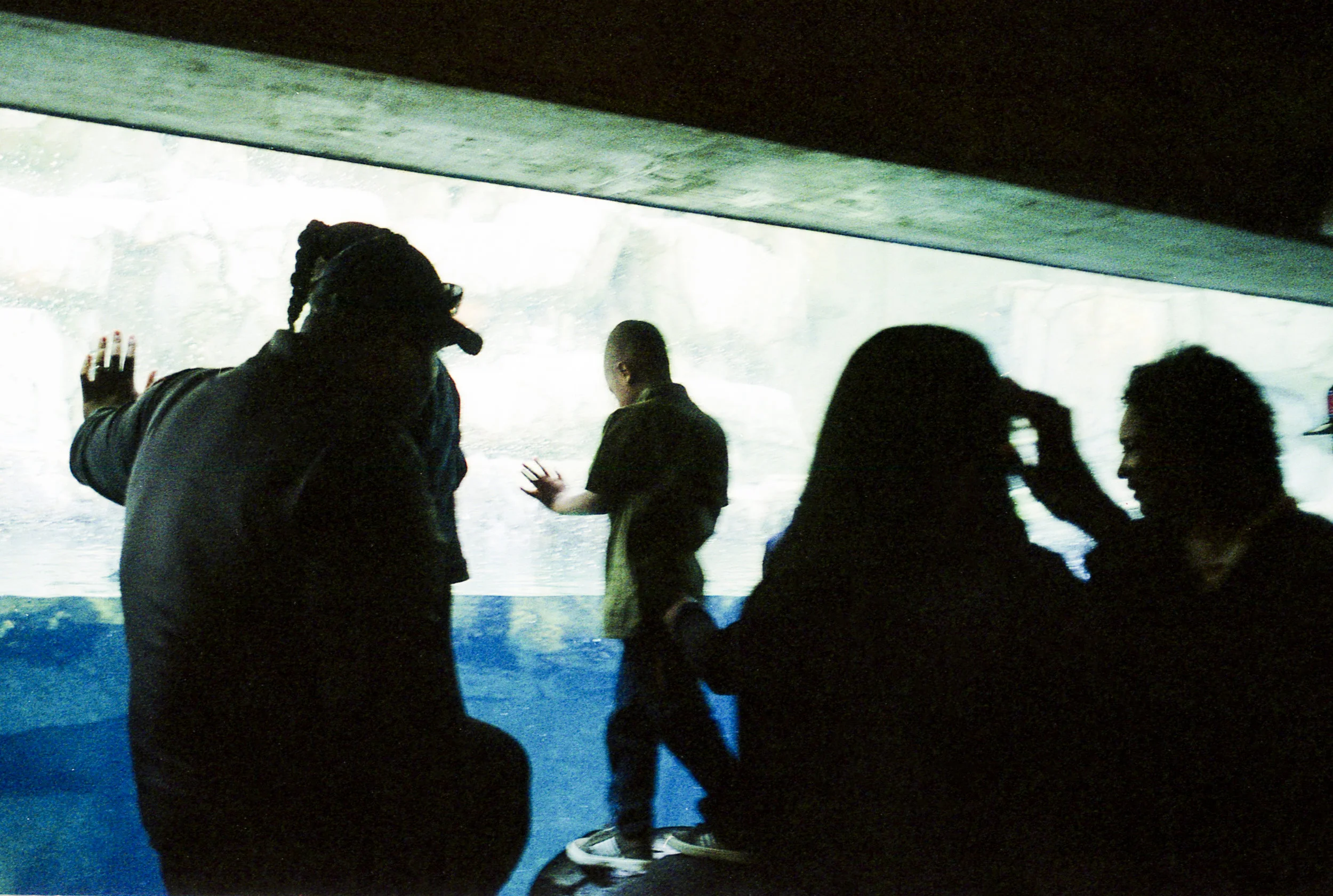 img037 copy.jpg
