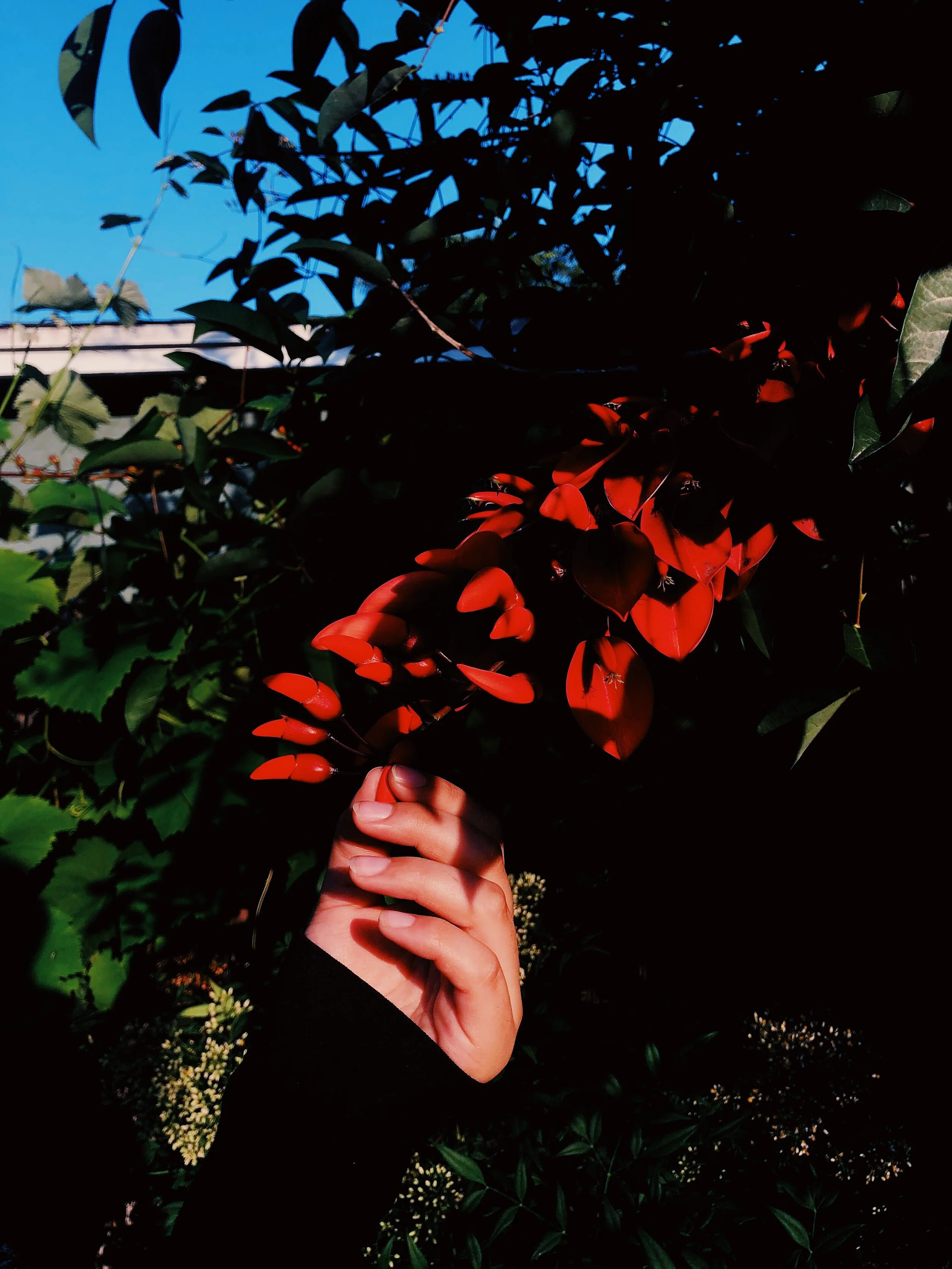 6D35AEA3-D477-4808-85C1-257939442355.JPG