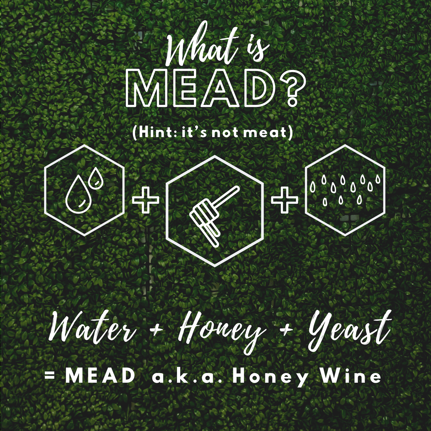 What is Mead? Honey, water and yeast!