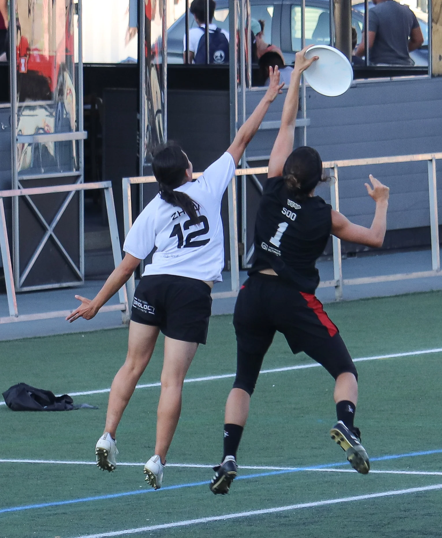 IMG_6534.jpg