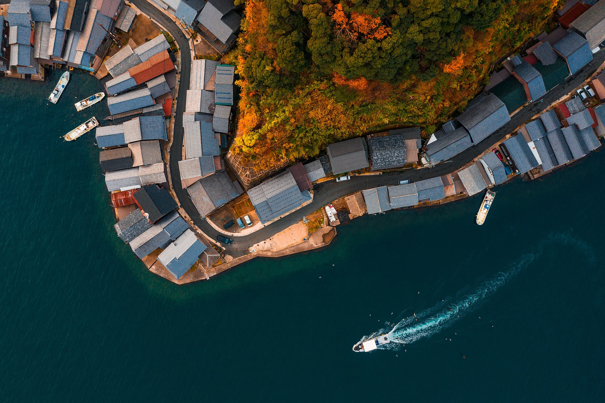 IneBay_Japan_01.jpg