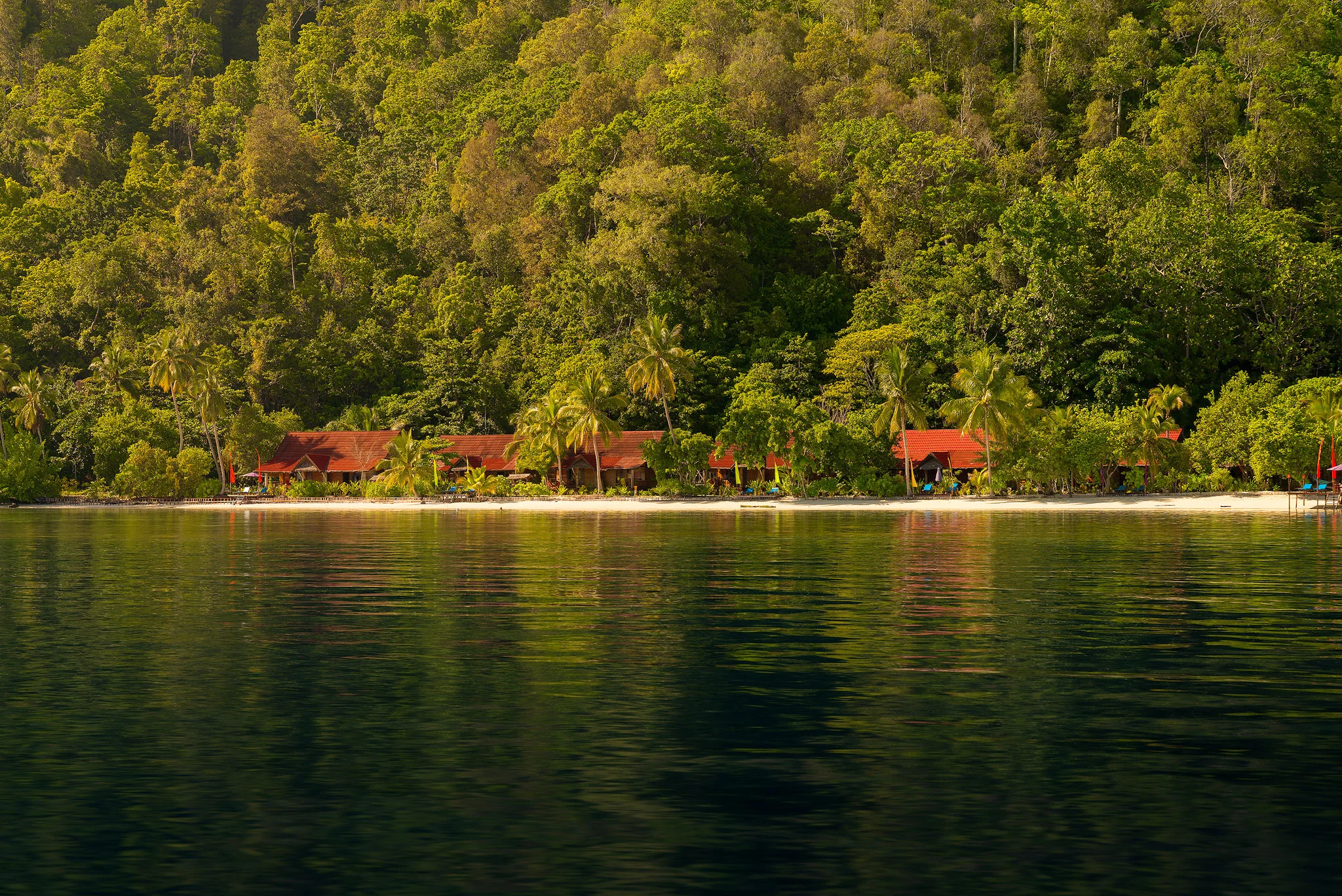 RajaAmpat_IslandResort_01.jpg