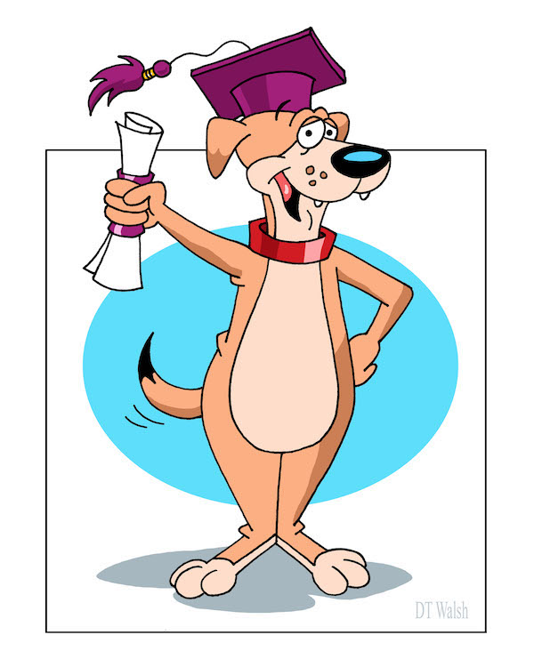 dog-obedience-training-classes-downers-grove.jpg