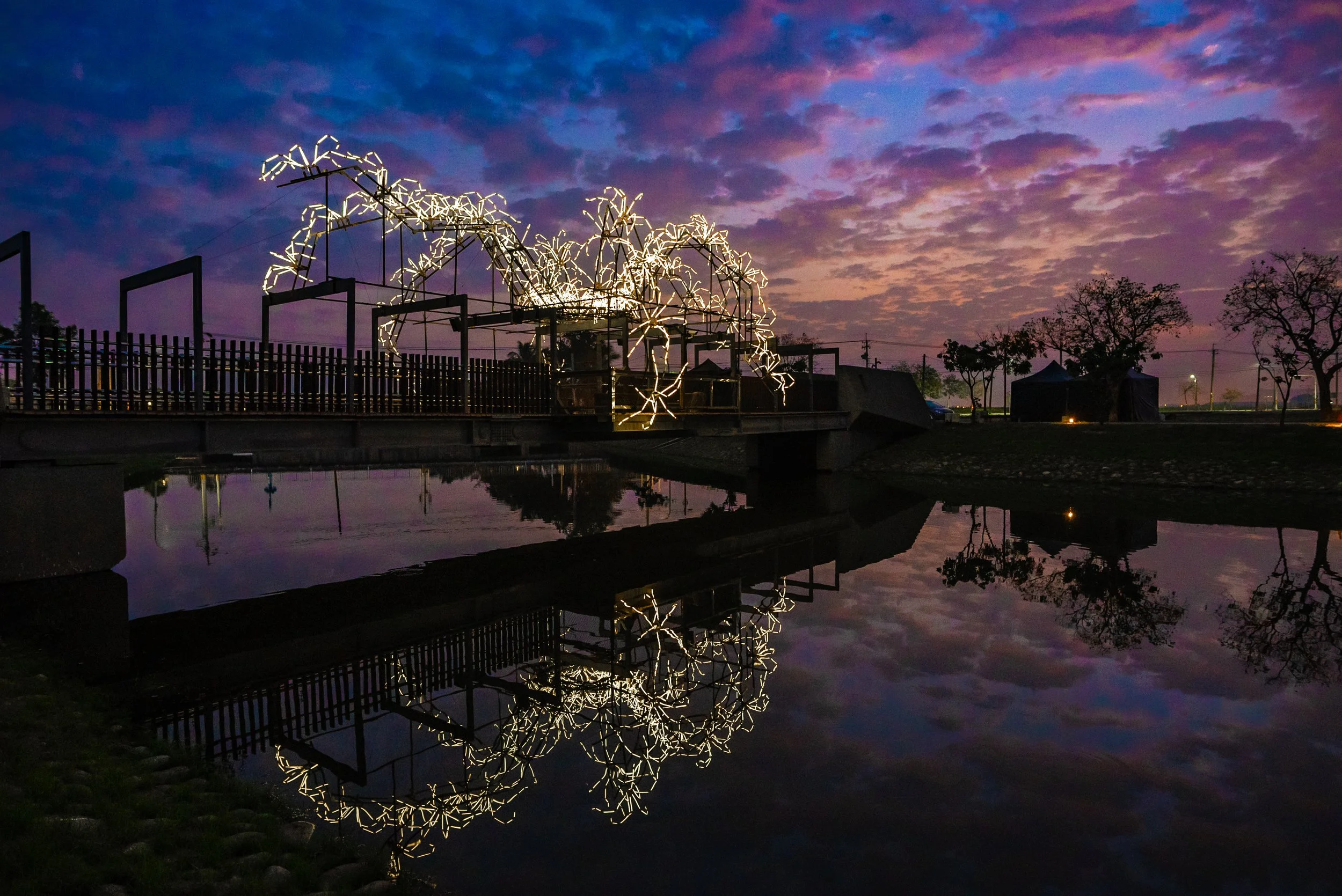 13 | 月光下的蜘蛛