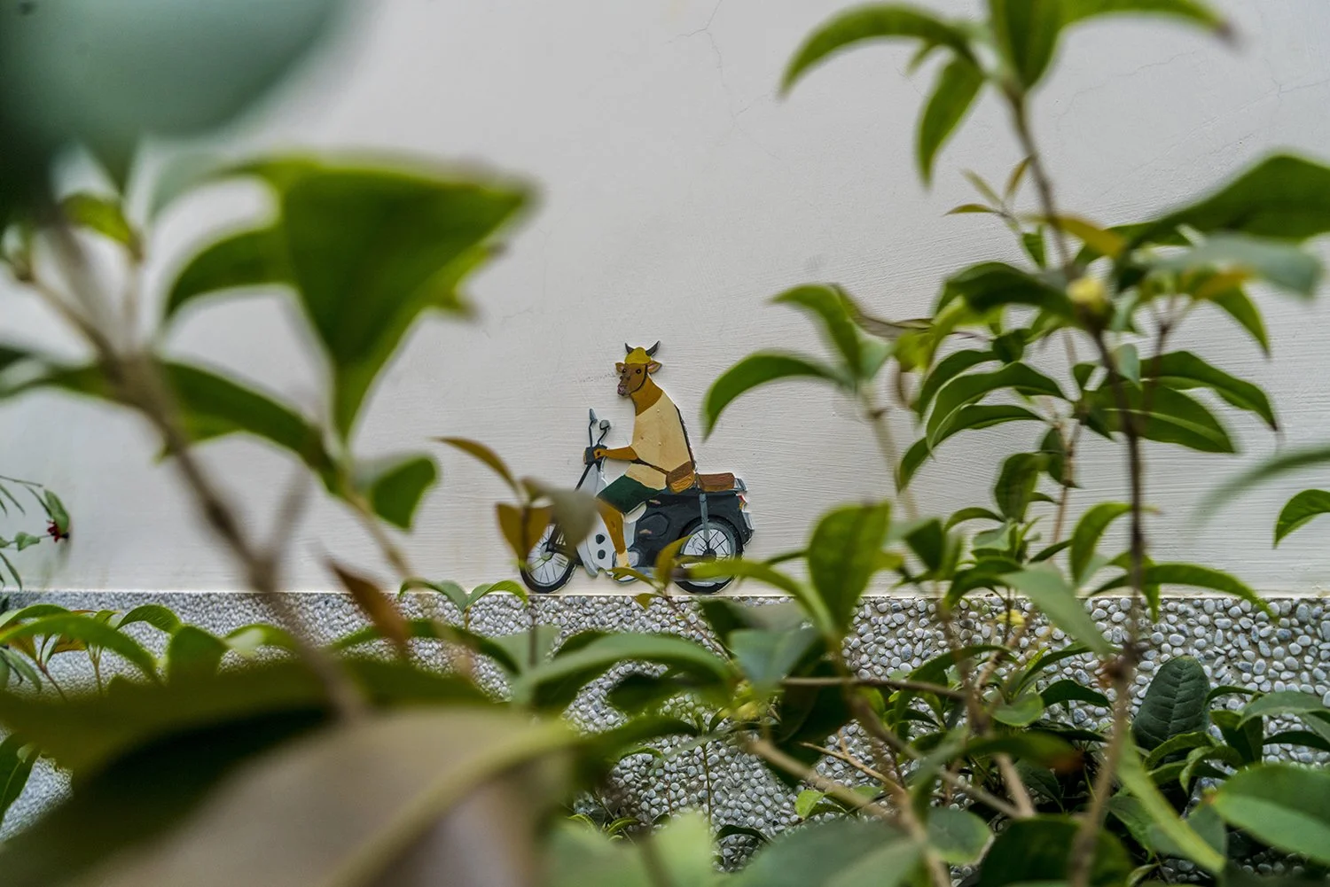 C06｜穿梭王爺廟巷的時光記憶