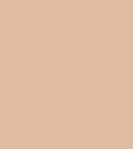 Untitled_Artwork 2.gif