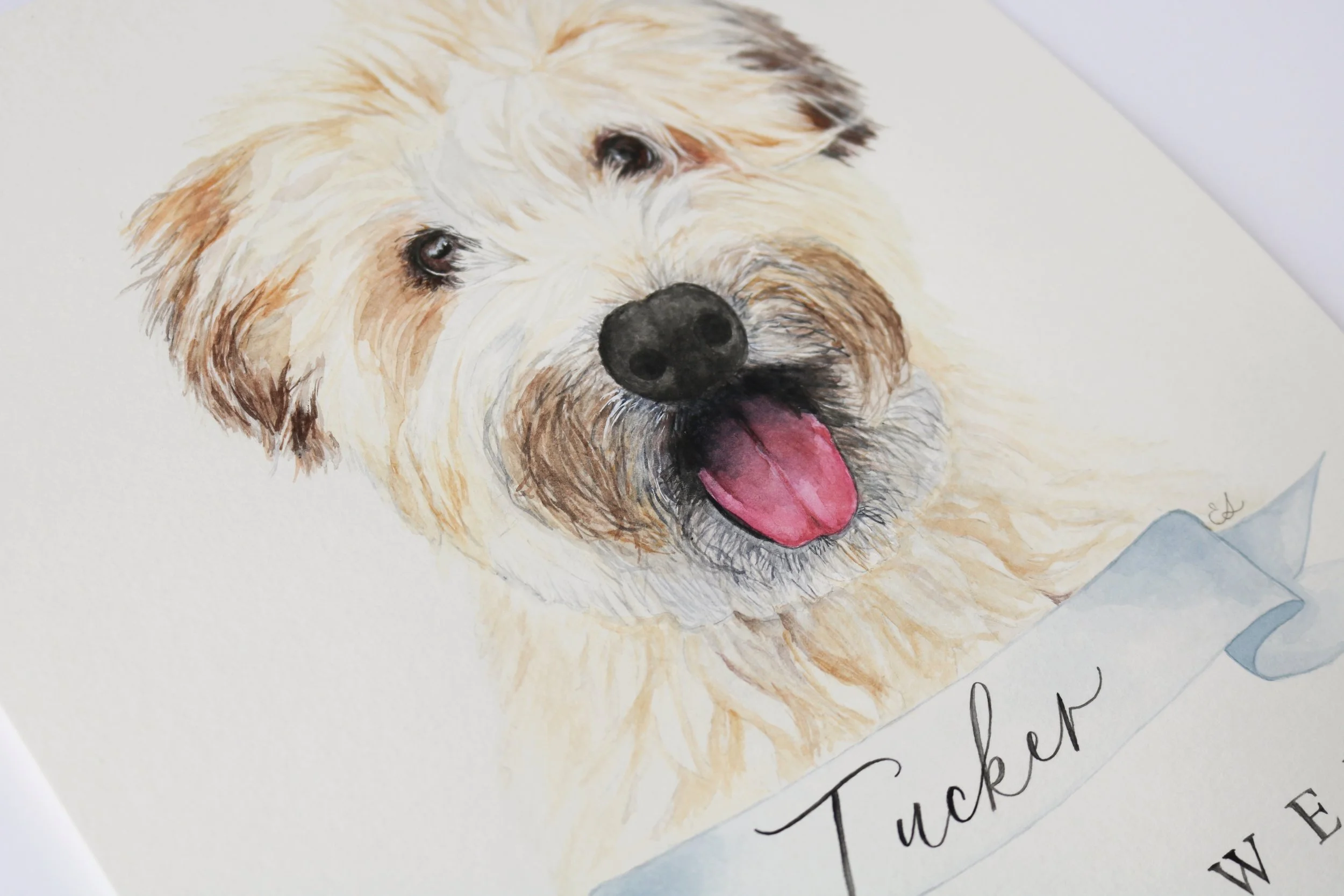 Emilime Designs Custom Pet Watercolor.jpg