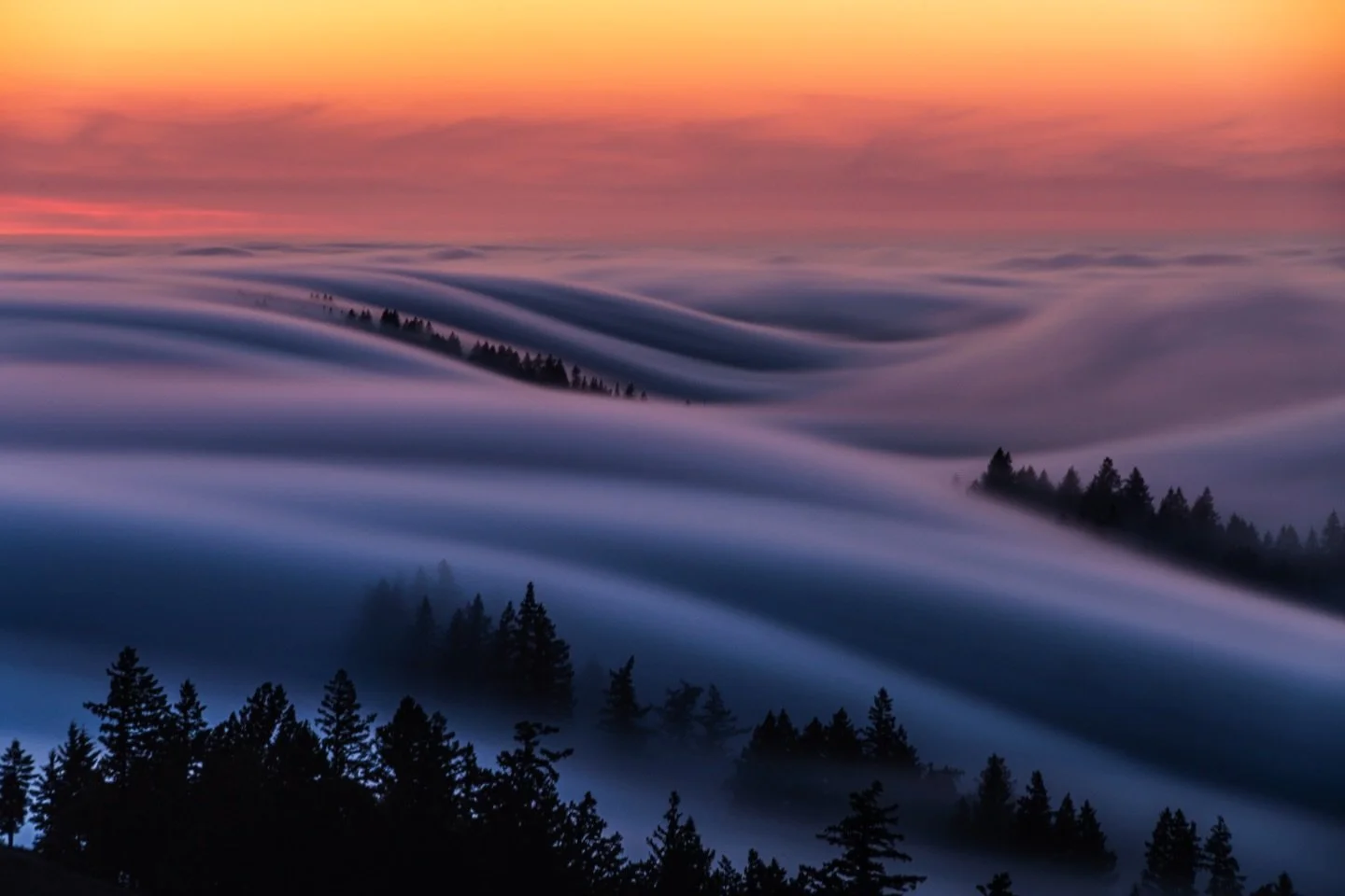 Some shots from the 4️⃣1️⃣5️⃣ 📸
Happy #415Day ✌🏾