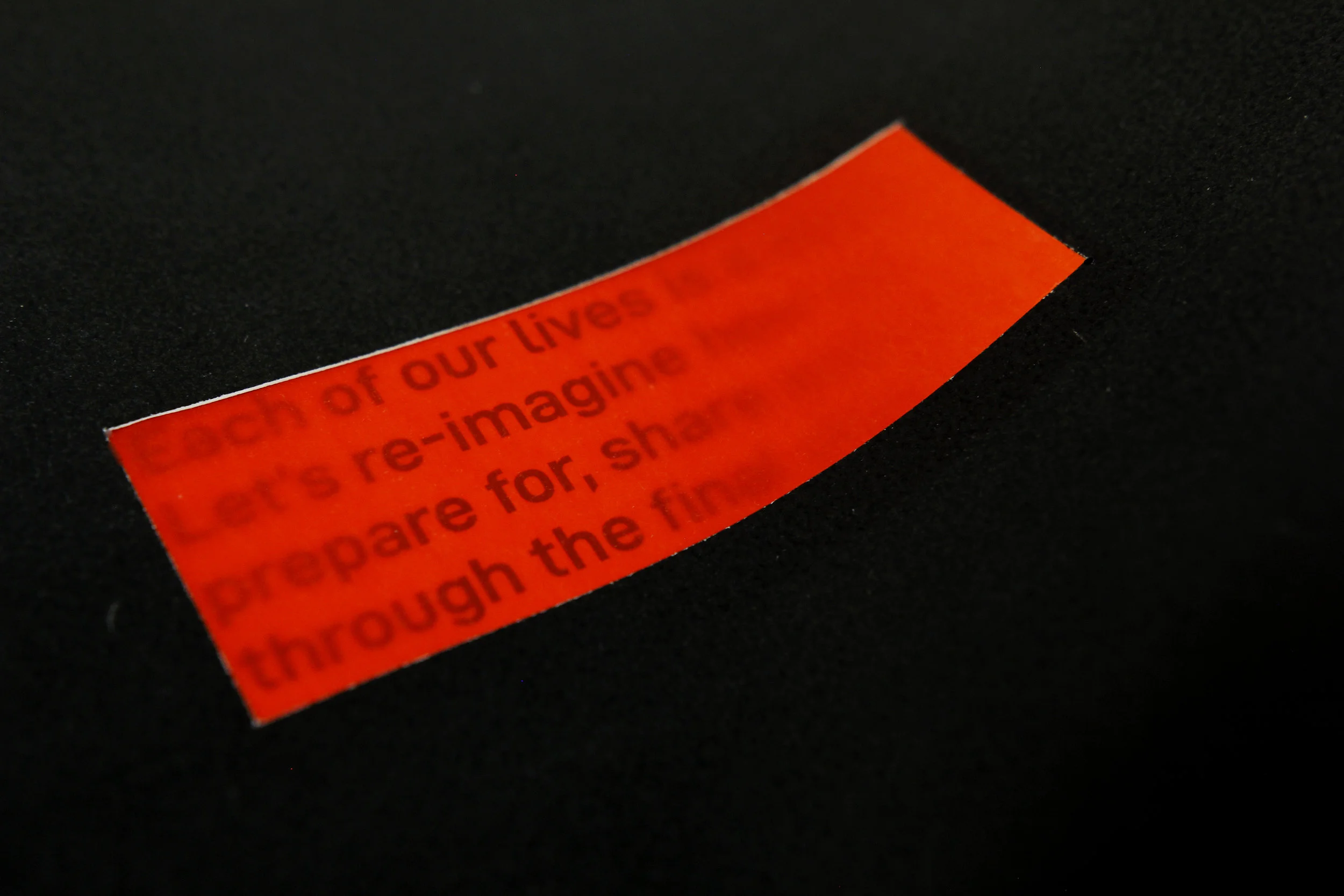 _MG_4657.jpg