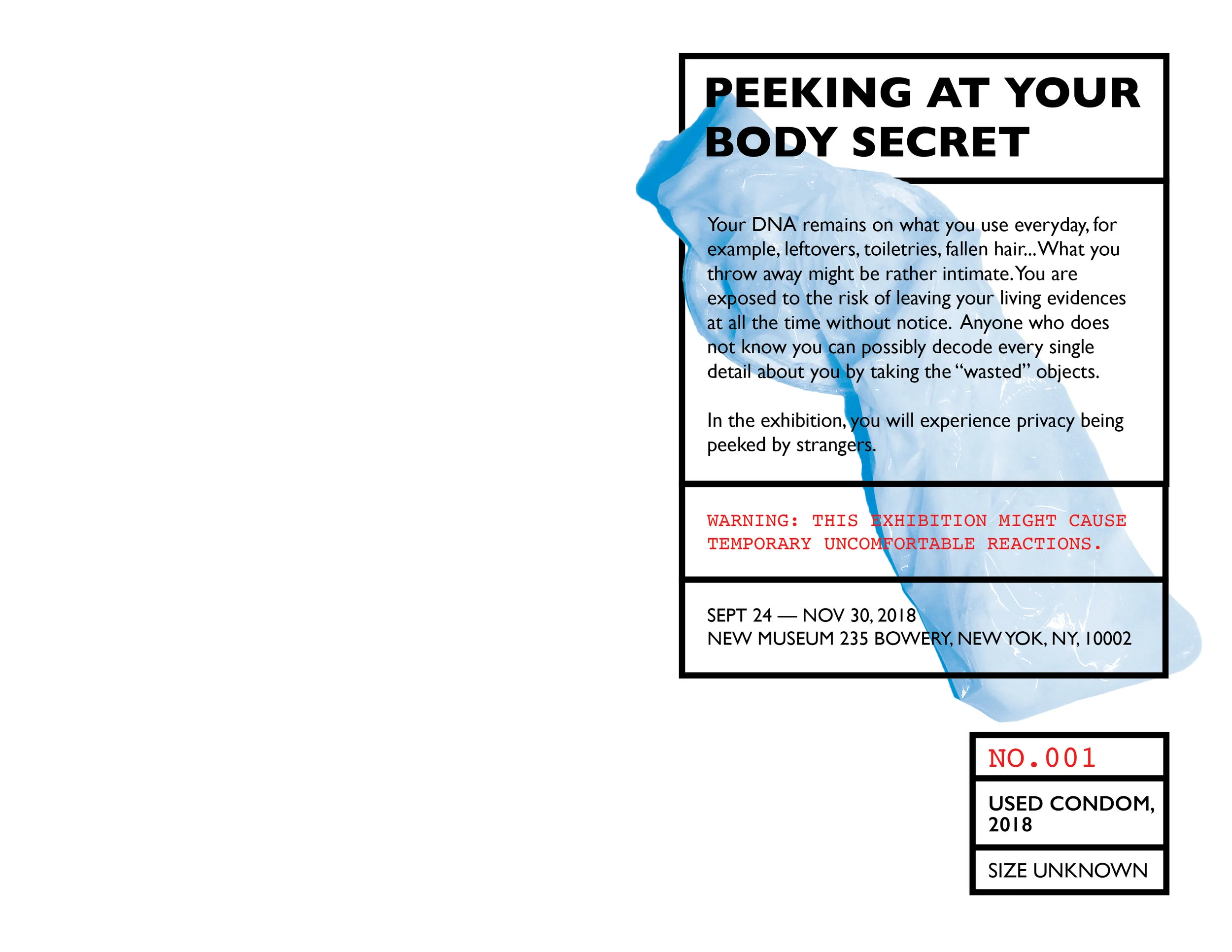 PEEKING AT YOUR BODY SECRET BROCHURE-01.jpg