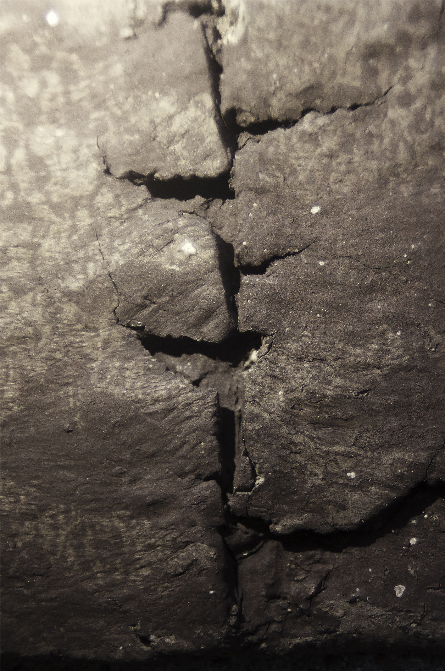 topography05.jpg