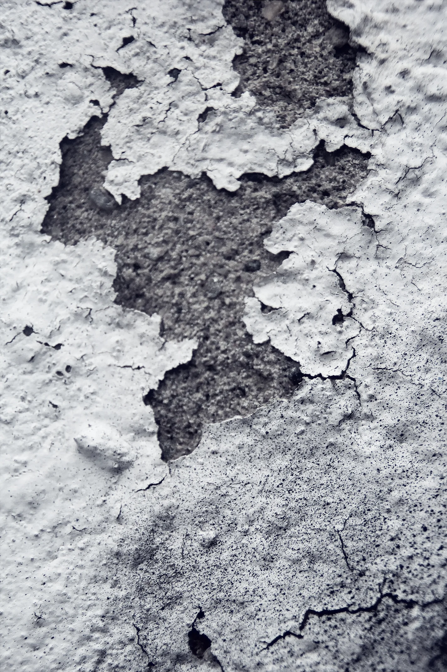 topography04.jpg