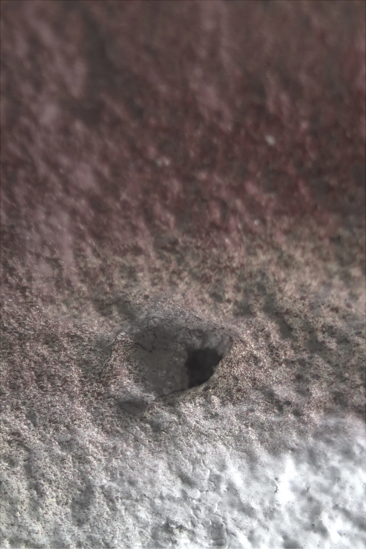 topography03.jpg