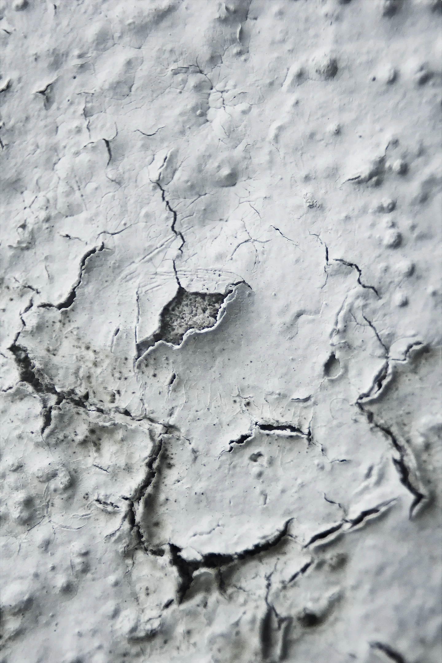 Topography