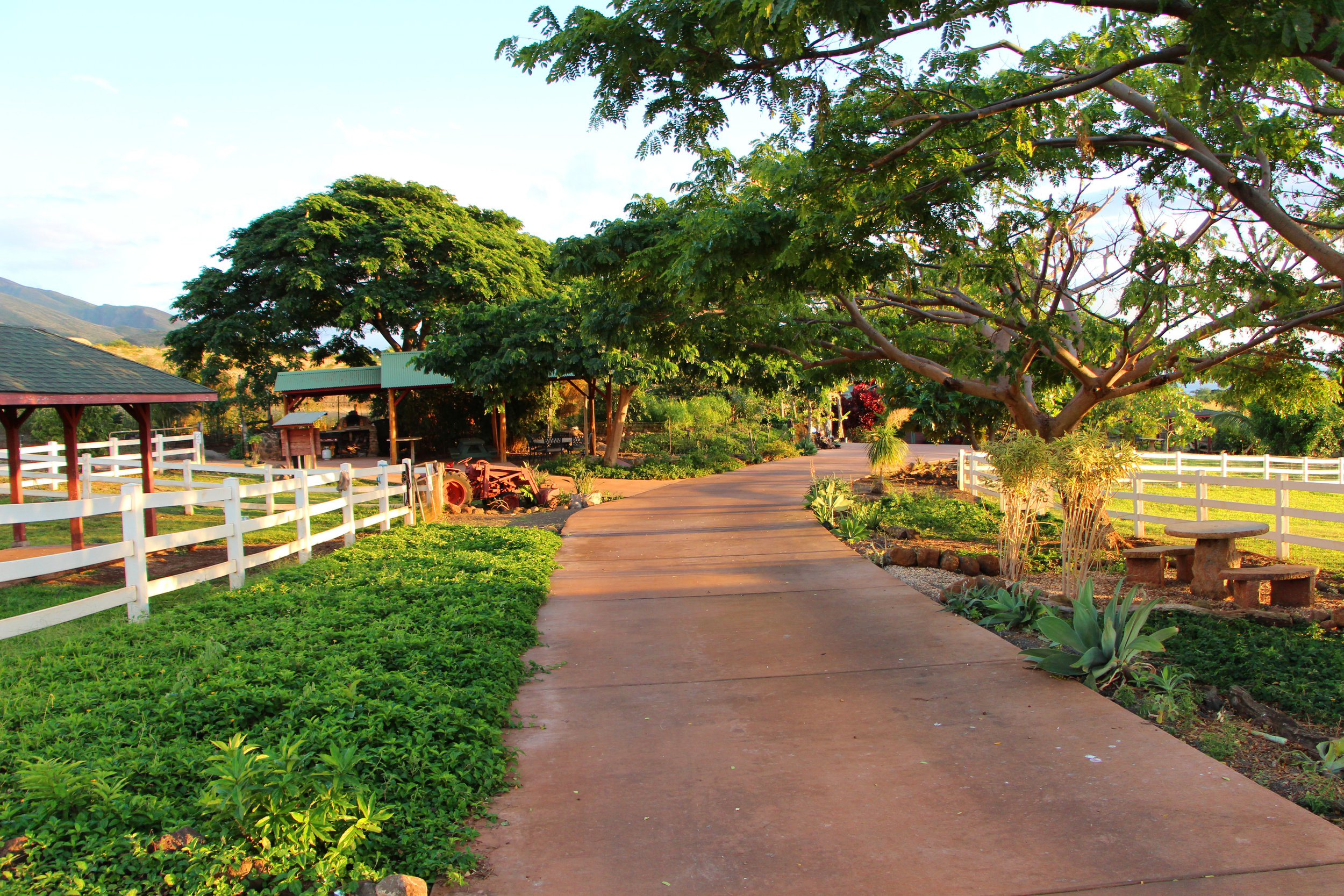 Maui-Lahaina-Animal-Farm-entrance_7598.jpg