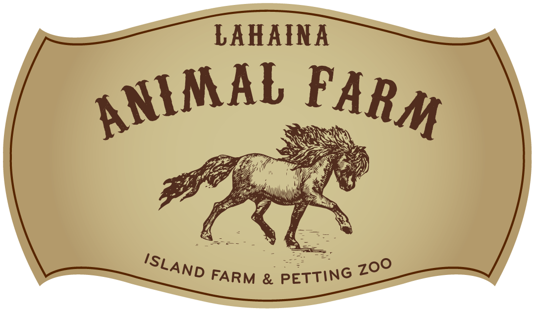 LAHAINA ANIMAL FARM