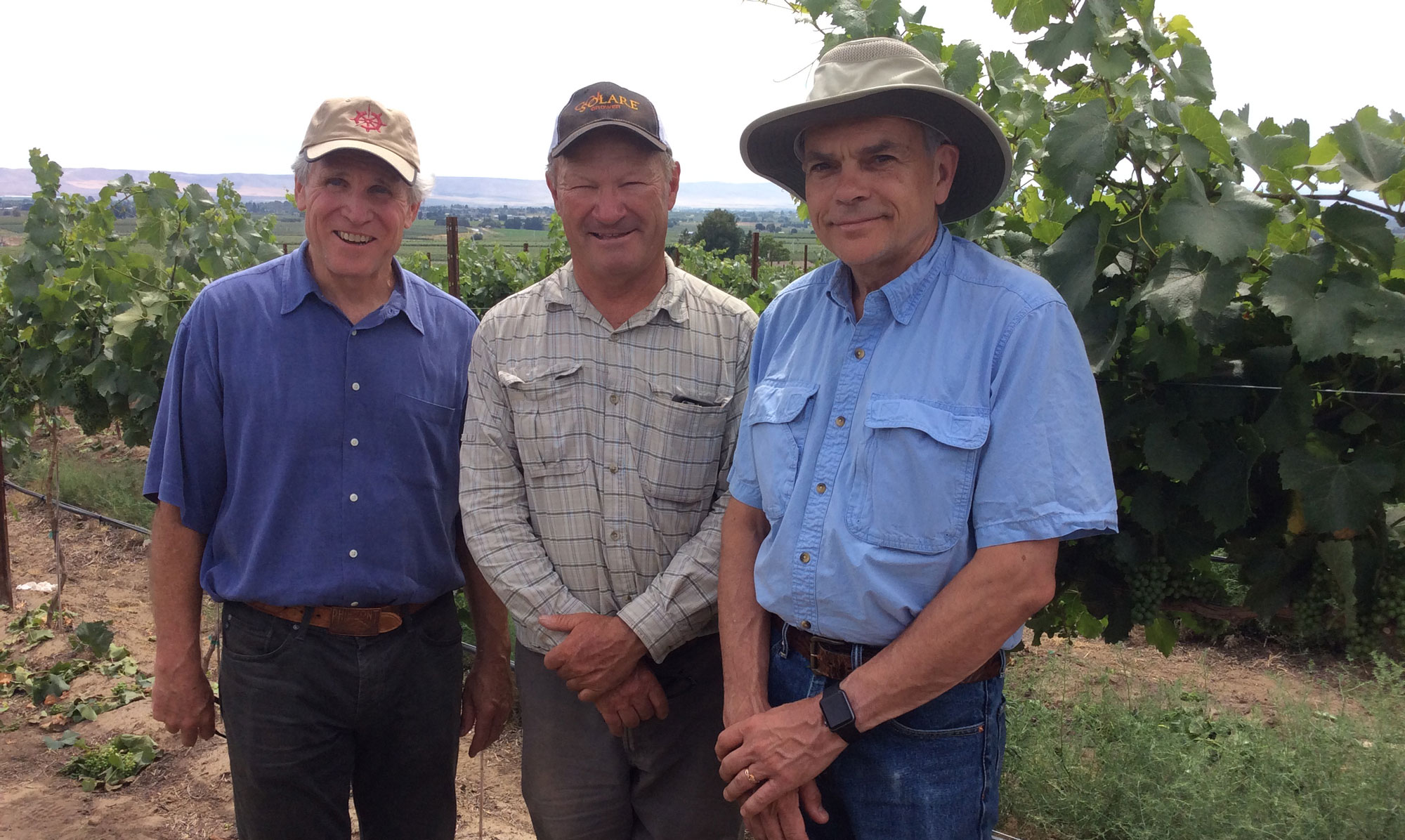 Three men standing together in the vineyard