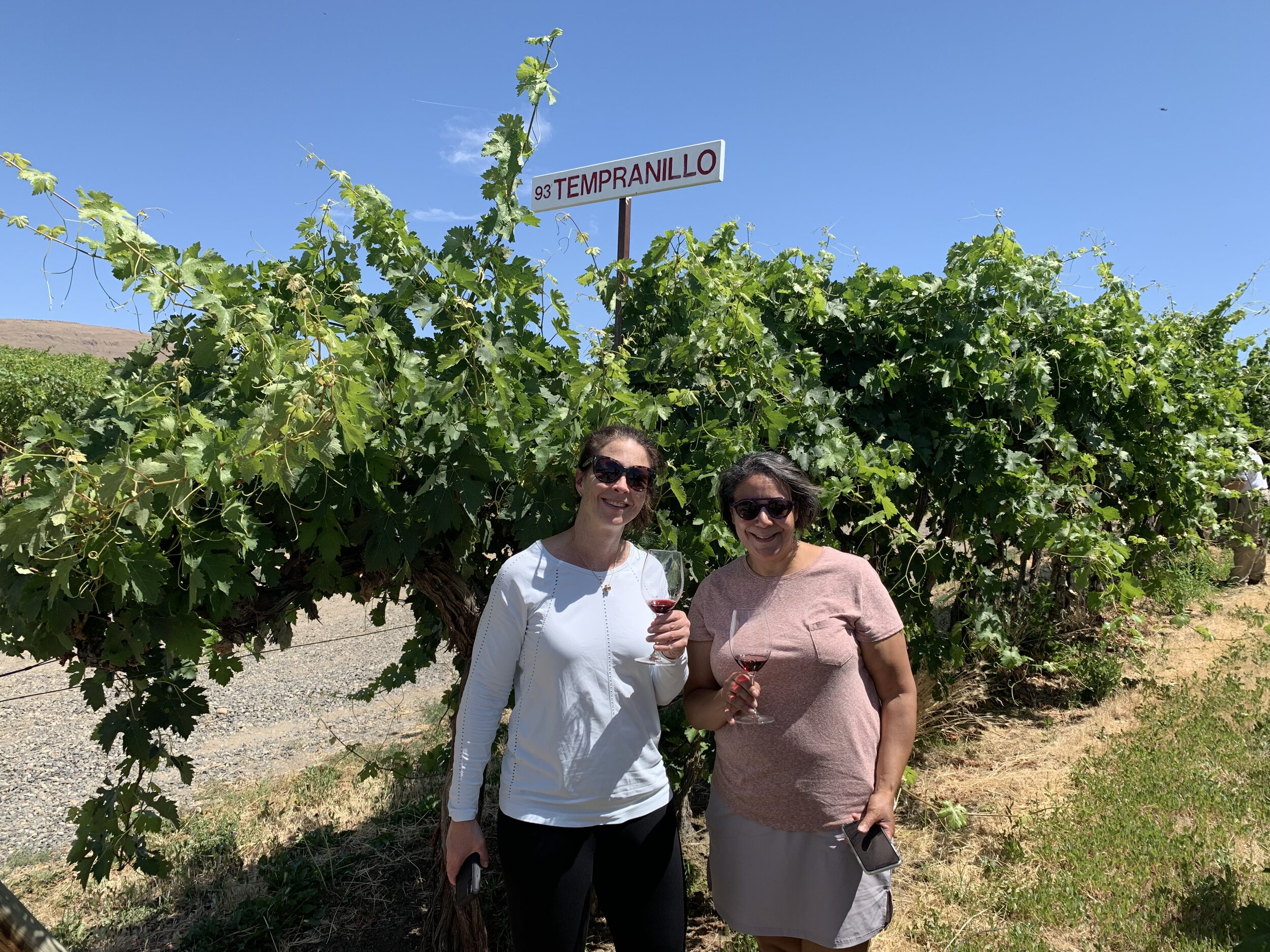 Two women in the vineyard with wine glasses