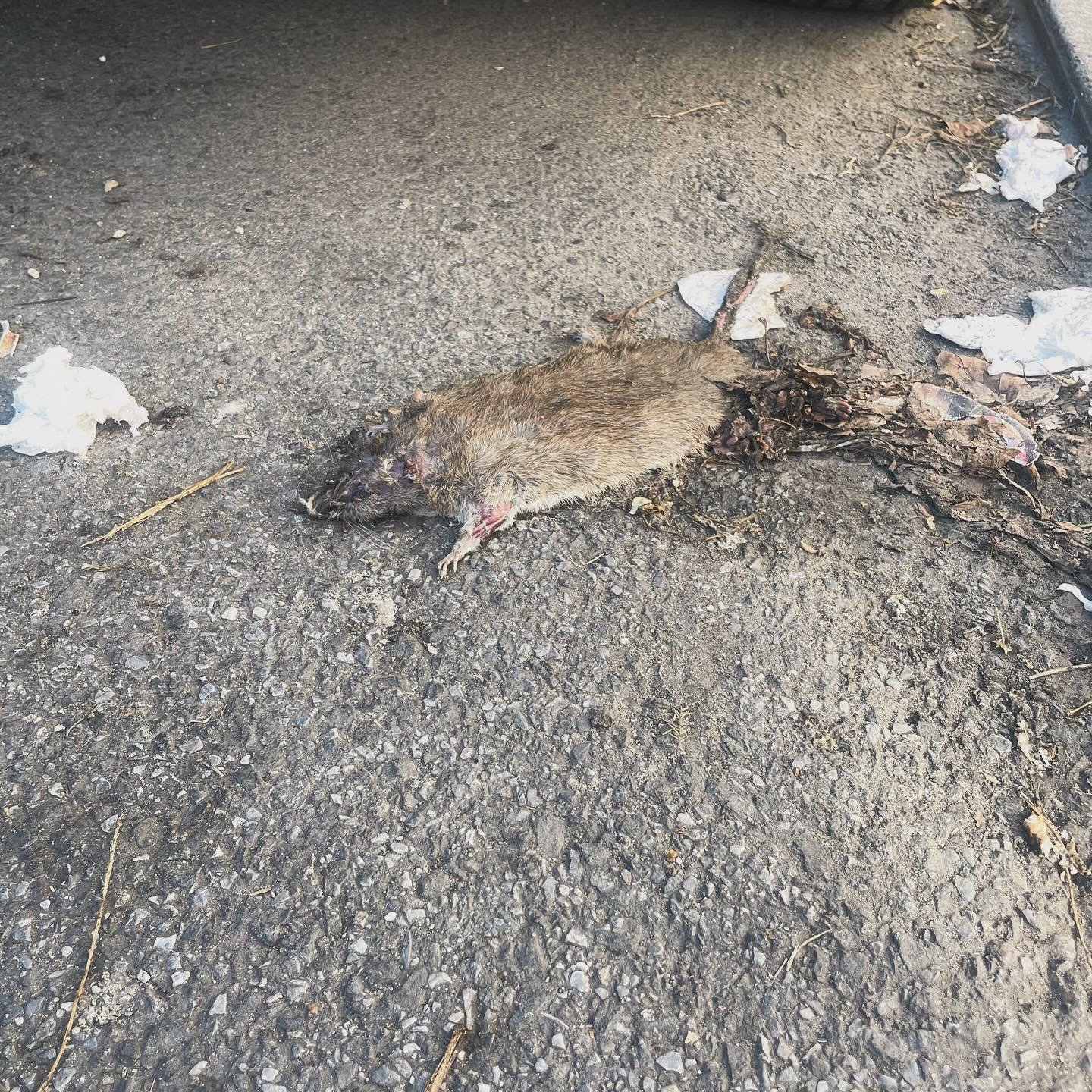 17:28