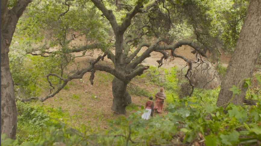 Screen Shot 2016-05-03 at 11.51.04 AM.png