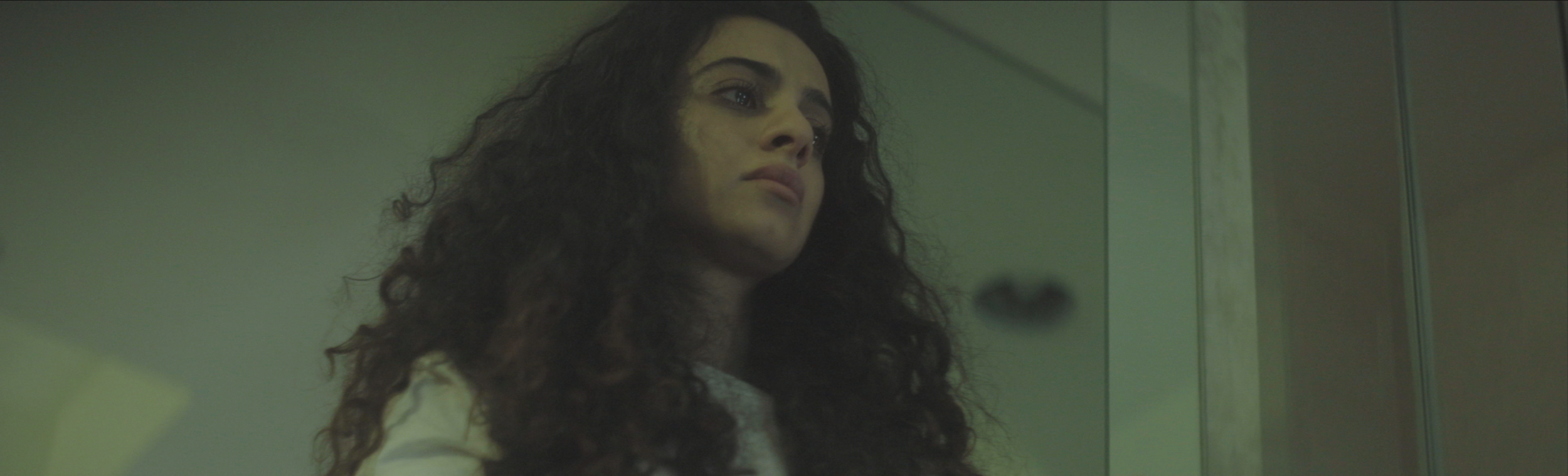 Screen Shot 2019-02-24 at 9.03.52 PM.png