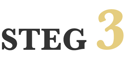 Steg-3-Behandling.png