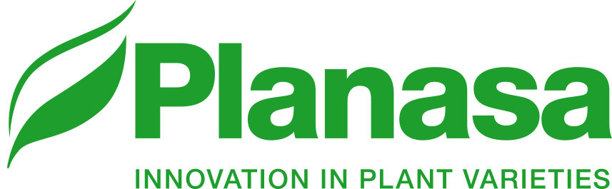 logo-planasa.png